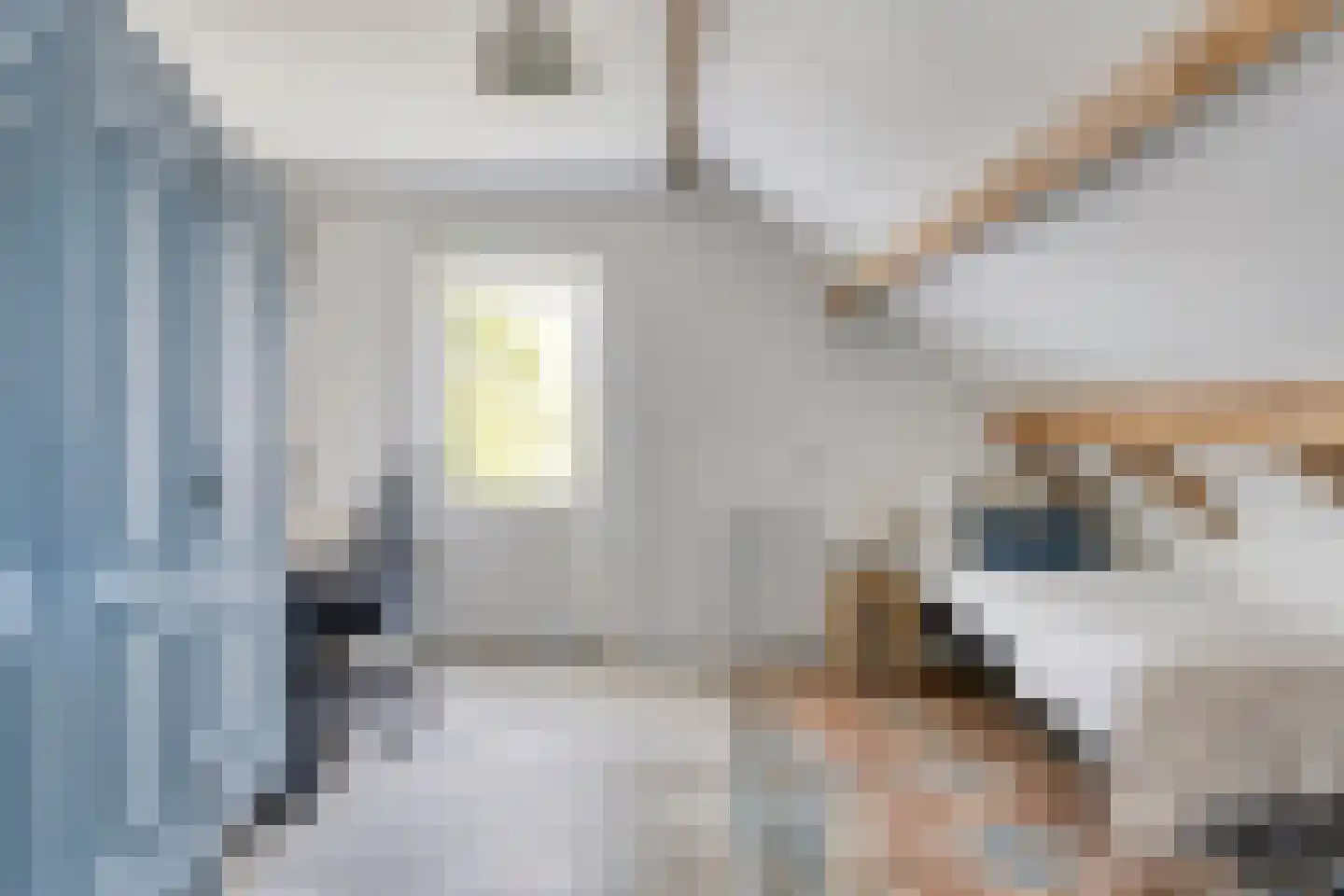 Oosterkanaaldijk 7 Heumen thumbnail 32