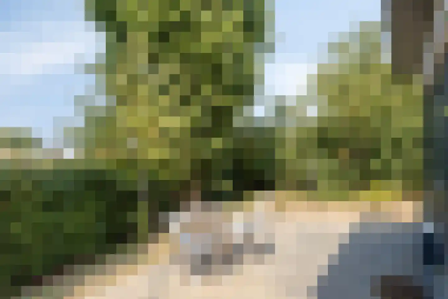 Oosterkanaaldijk 7 Heumen thumbnail 50