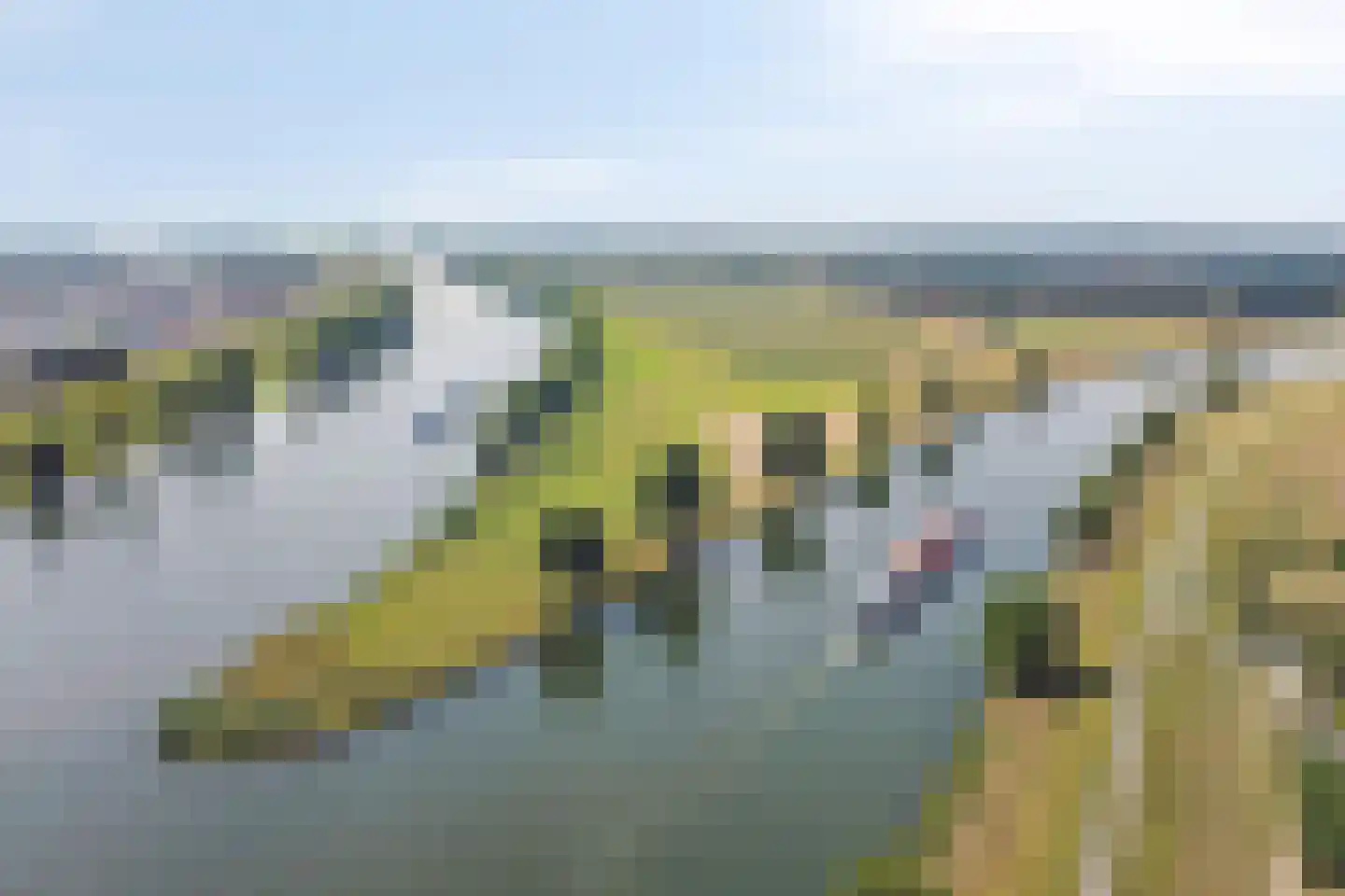Oosterkanaaldijk 7 Heumen thumbnail 54