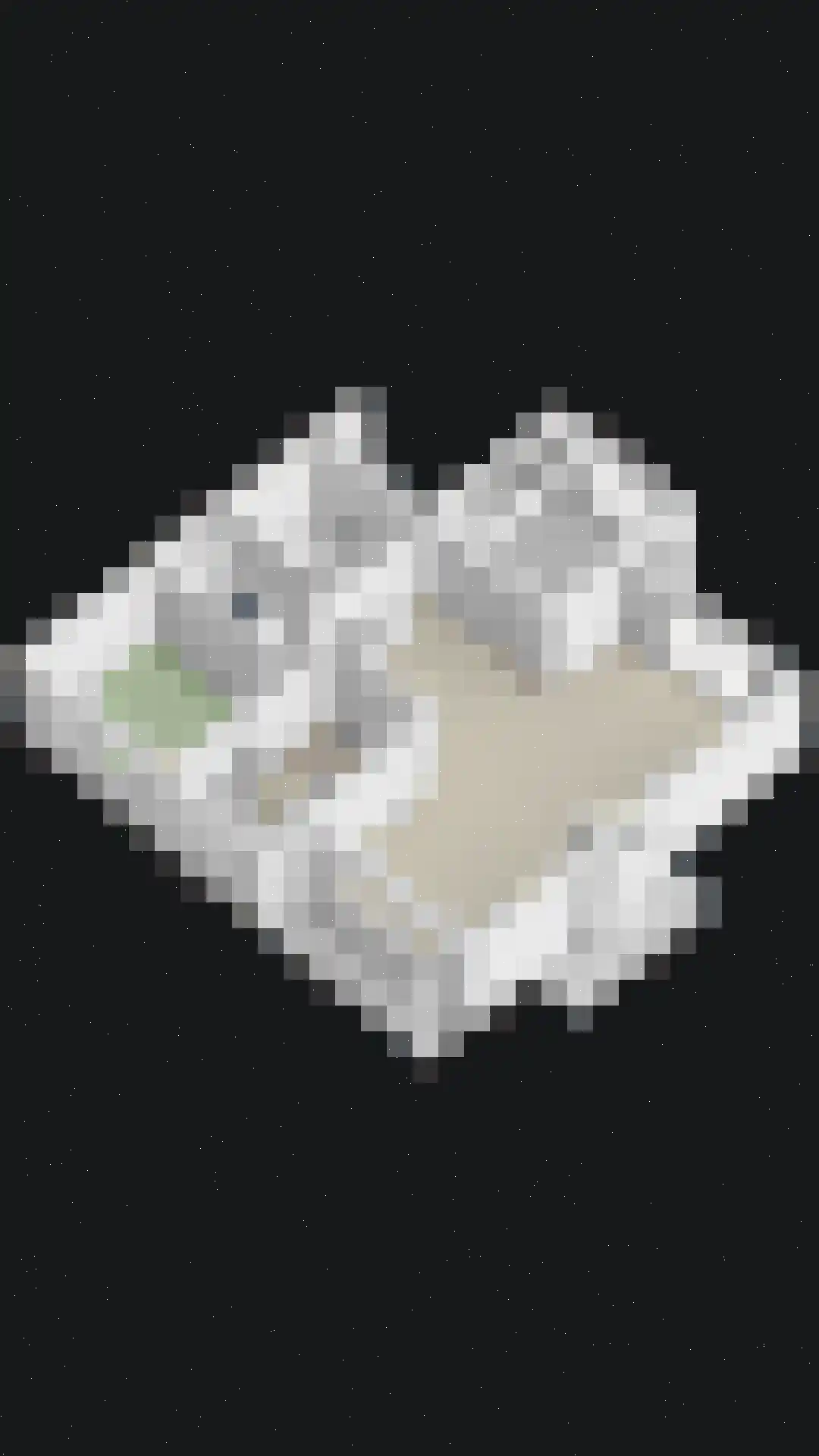 Oosterkanaaldijk 7 Heumen thumbnail 60