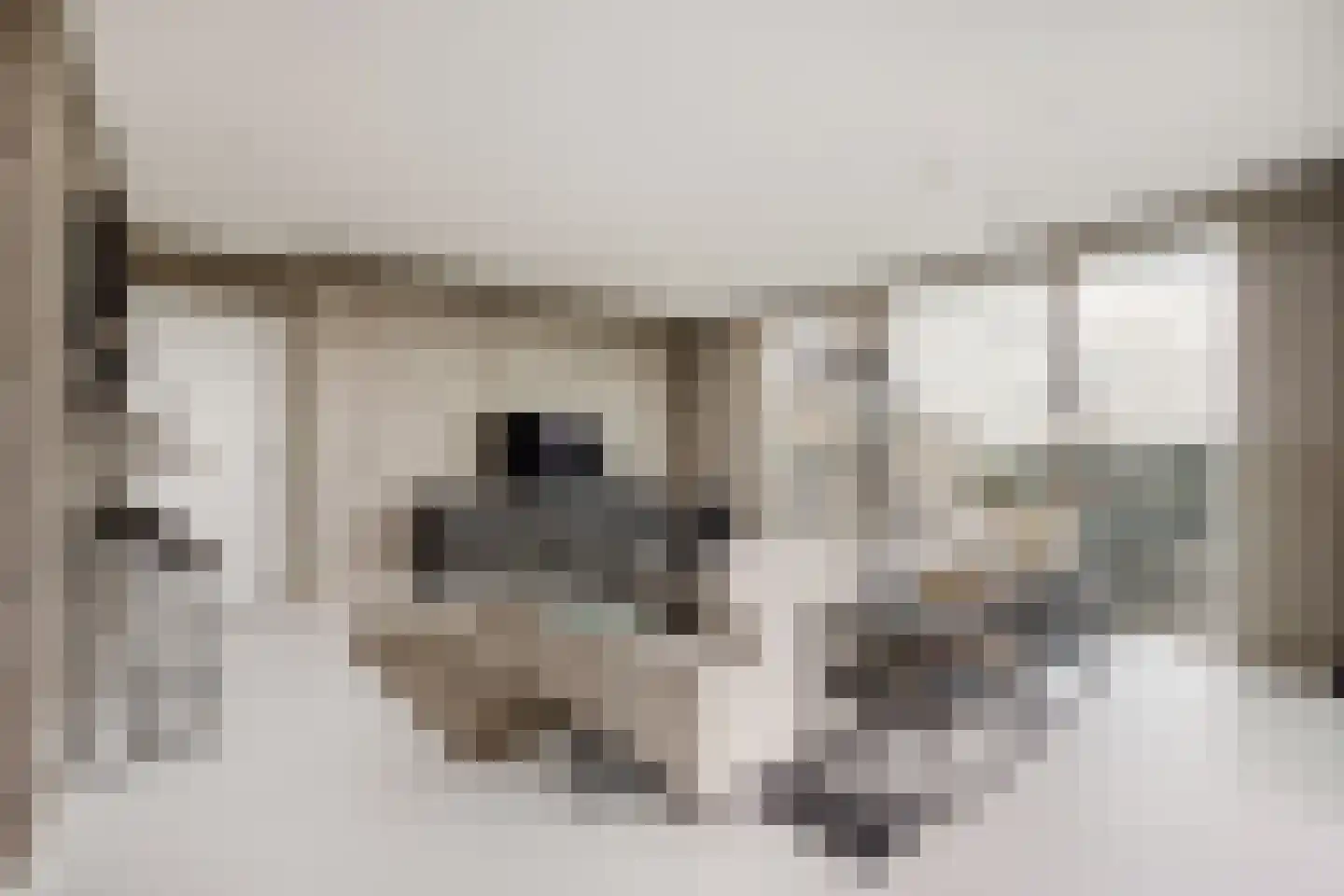 Oosterkerkstraat 74 Leiden thumbnail 4