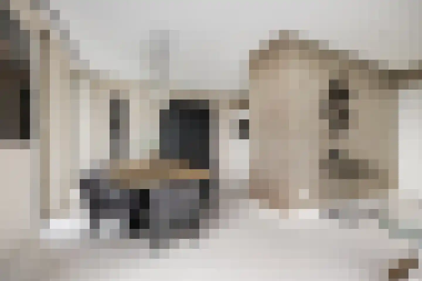 Oosterkerkstraat 74 Leiden thumbnail 8