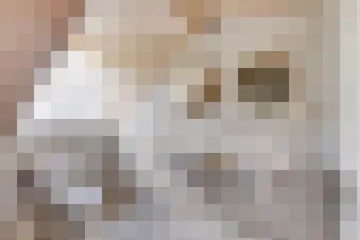 Oosterklamp 16 Nuenen thumbnail 20