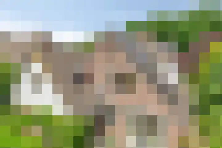 Oosterklamp 16 Nuenen thumbnail 22