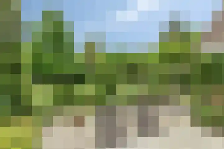 Oosterklamp 16 Nuenen thumbnail 23