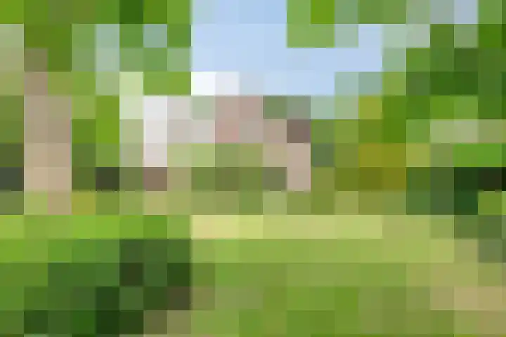 Oosterklamp 16 Nuenen thumbnail 24