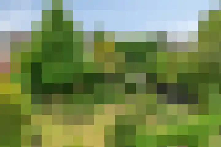 Oosterklamp 16 Nuenen thumbnail 25