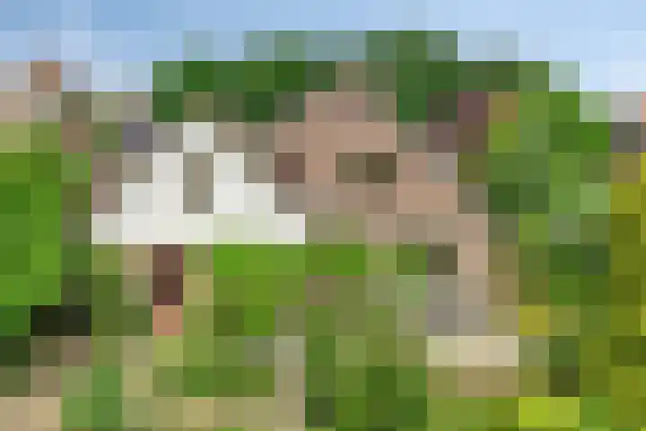 Oosterklamp 16 Nuenen thumbnail 26