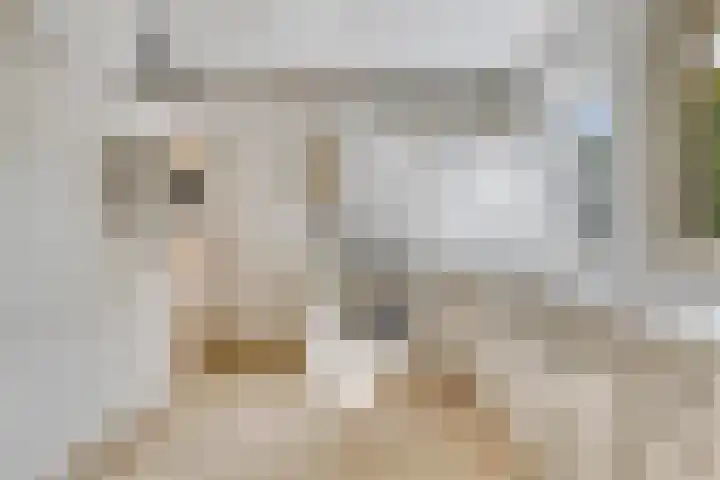 Oosterklamp 16 Nuenen thumbnail 8