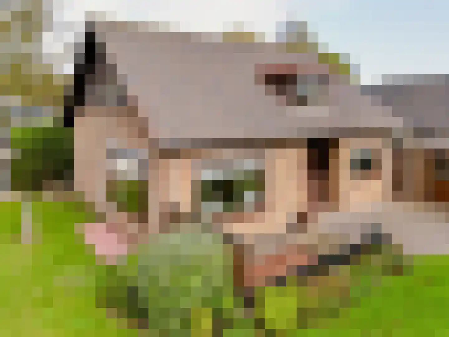 Oosterkruisweg 31 Den Oever thumbnail 10