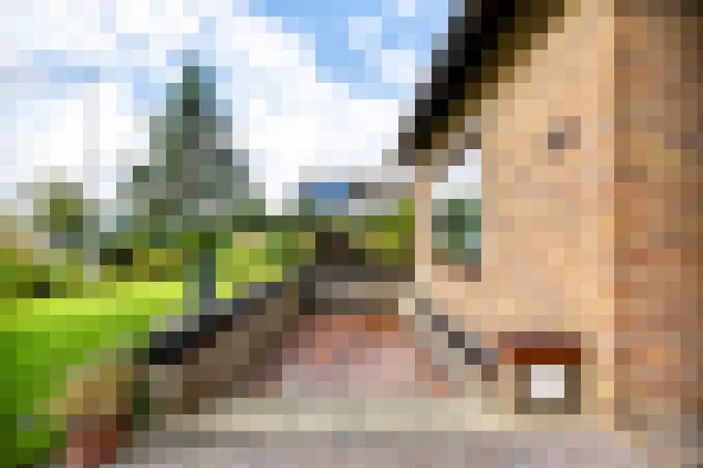 Oosterkruisweg 31 Den Oever thumbnail 28