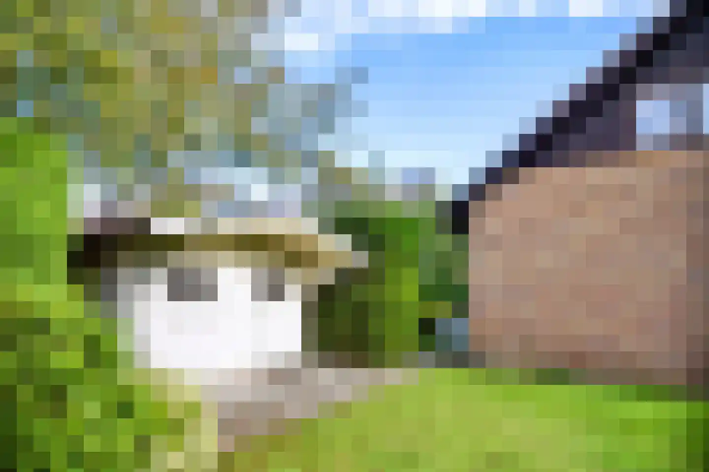 Oosterkruisweg 31 Den Oever thumbnail 32