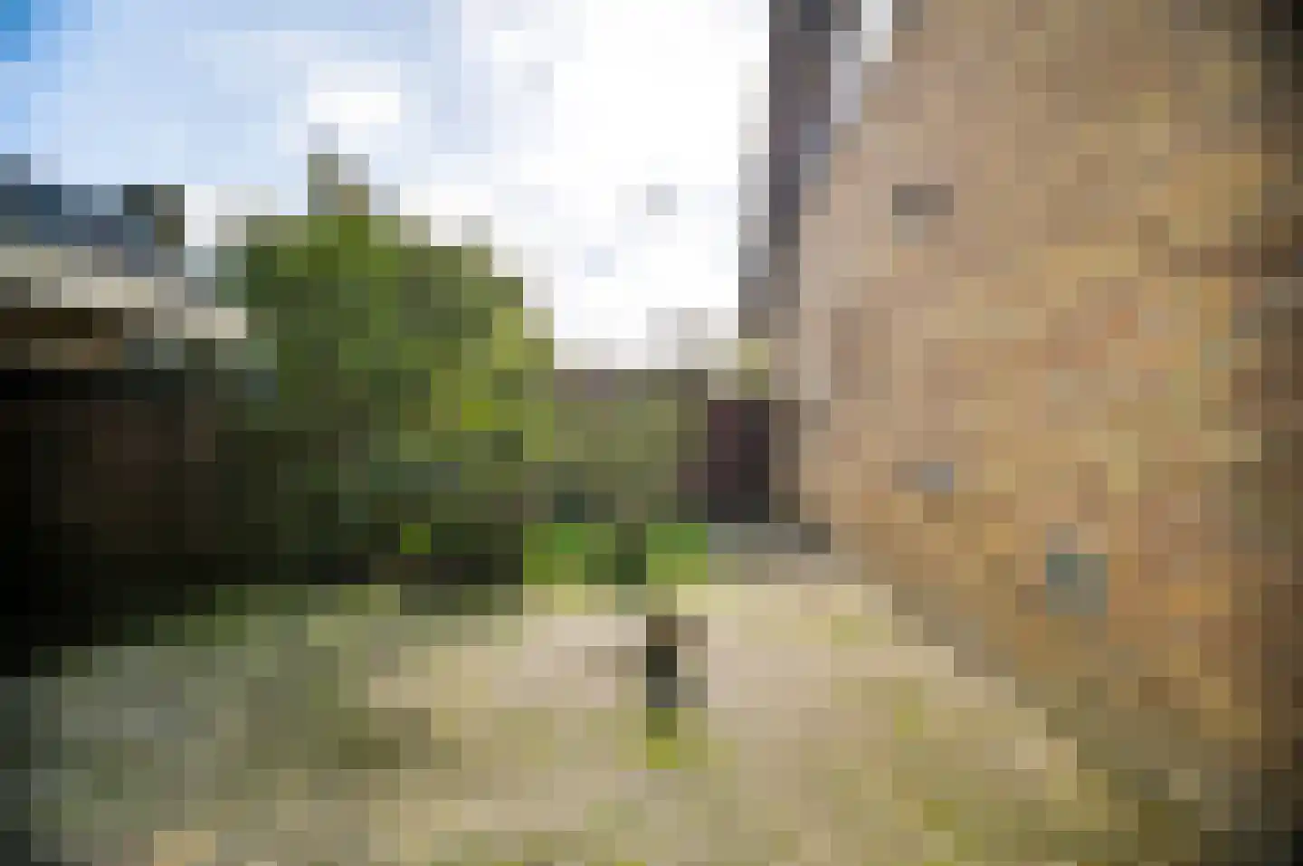 Oosterkruisweg 31 Den Oever thumbnail 36