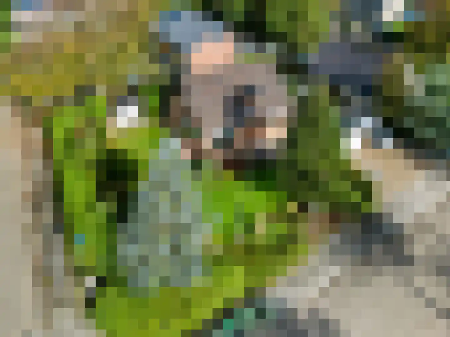 Oosterkruisweg 31 Den Oever thumbnail 4
