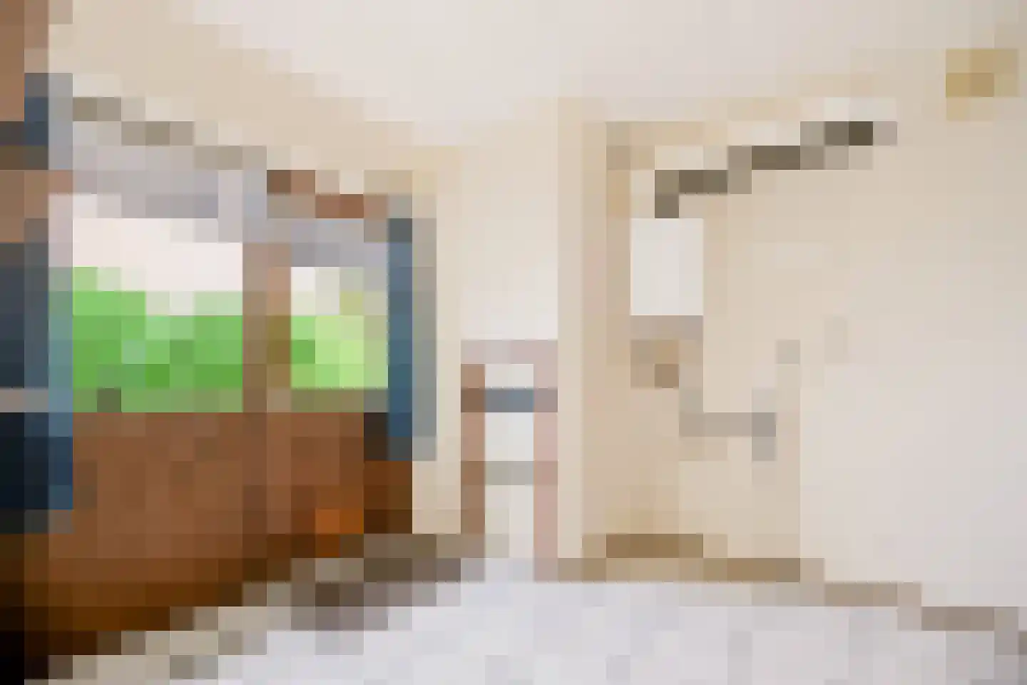 Oosterkruisweg 31 Den Oever thumbnail 49