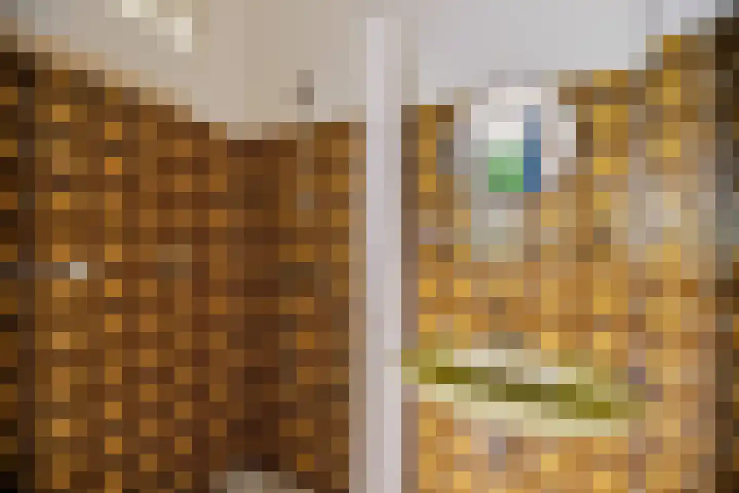 Oosterkruisweg 31 Den Oever thumbnail 53