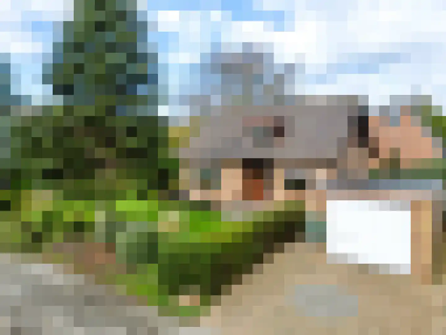Oosterkruisweg 31 Den Oever thumbnail 6