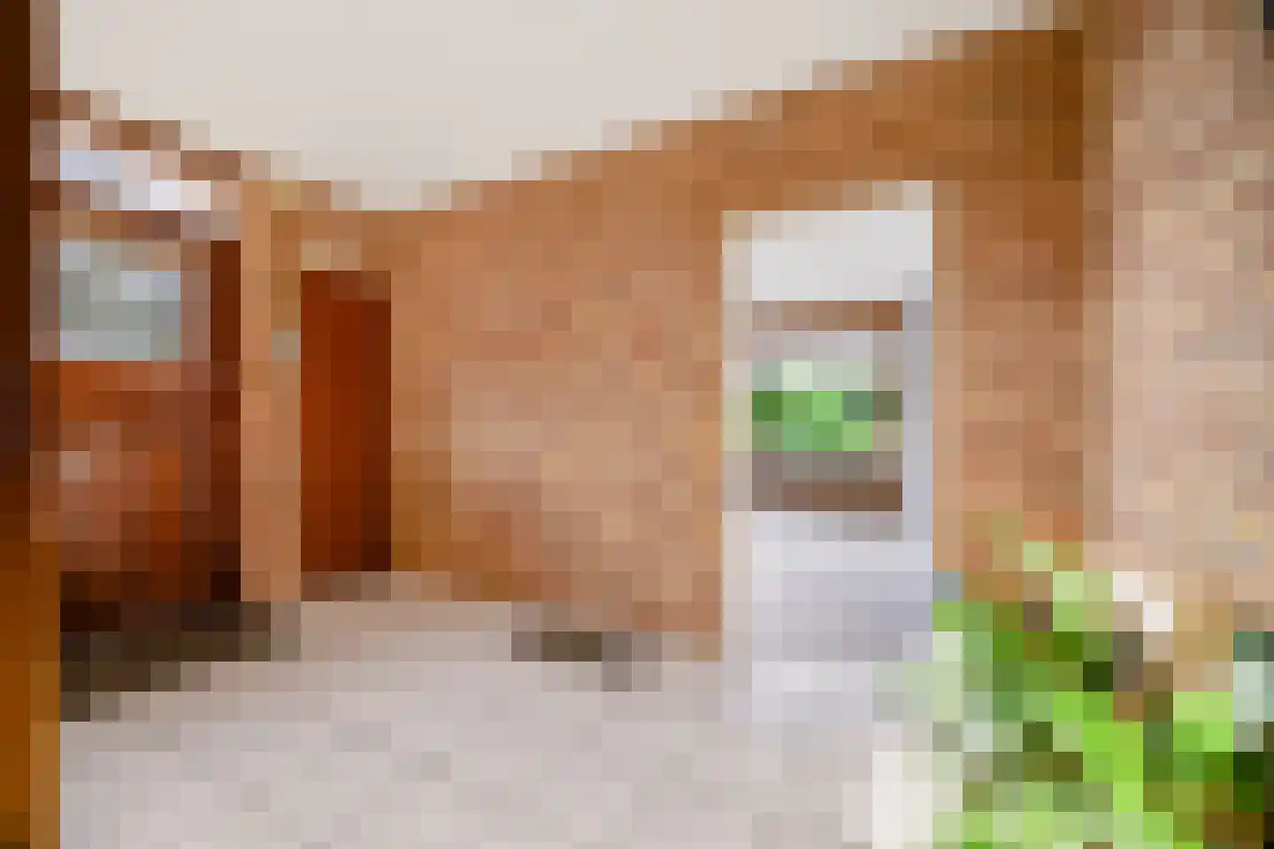 Oosterkruisweg 31 Den Oever thumbnail 61