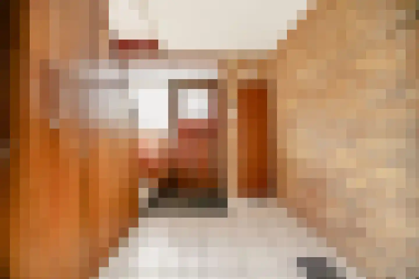 Oosterkruisweg 31 Den Oever thumbnail 62