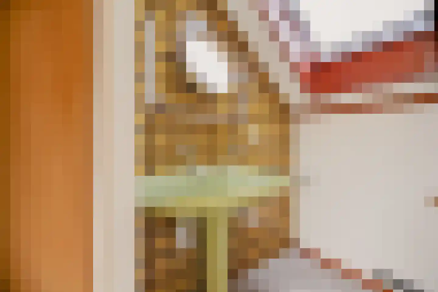 Oosterkruisweg 31 Den Oever thumbnail 77