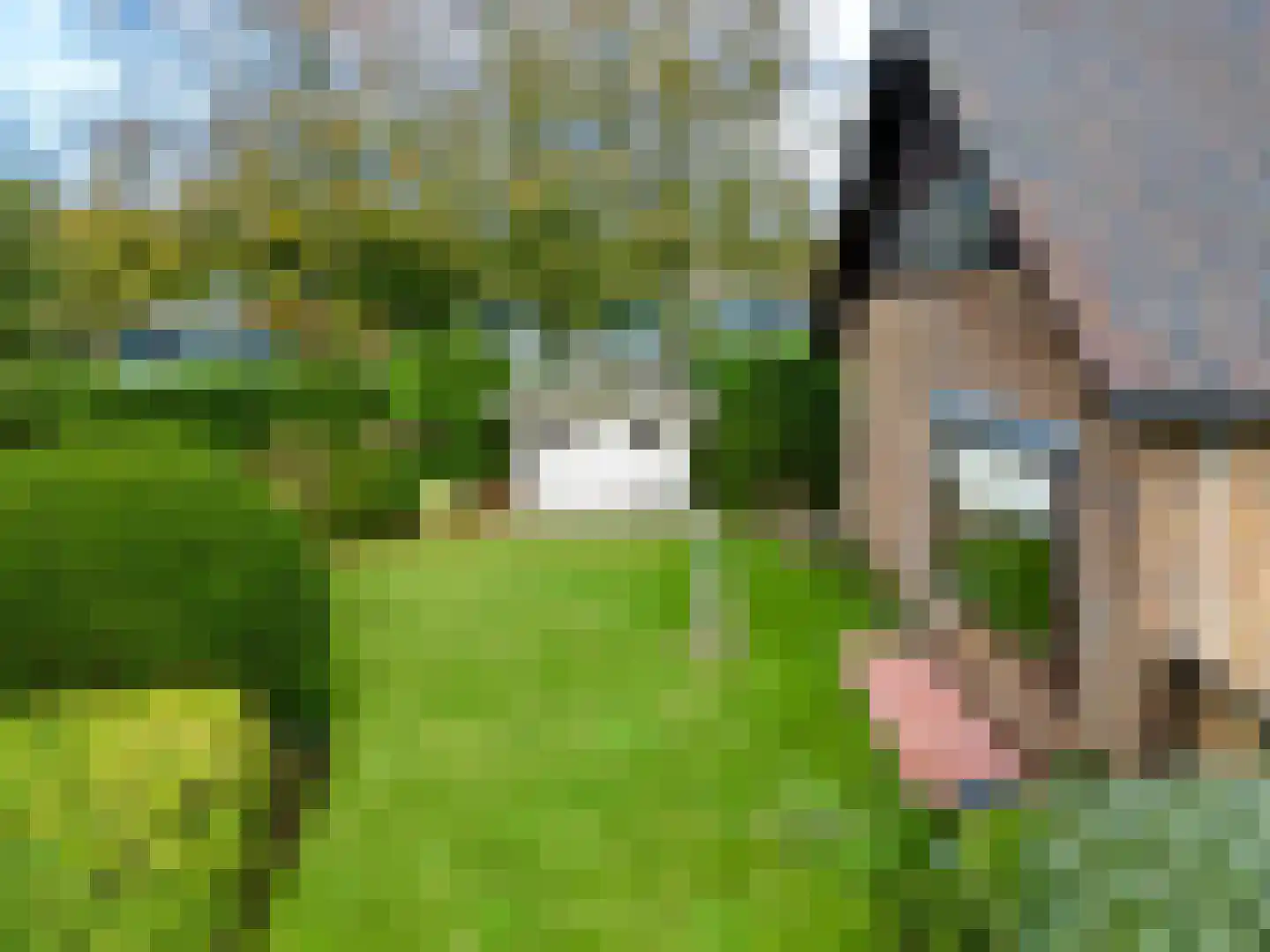 Oosterkruisweg 31 Den Oever thumbnail 9