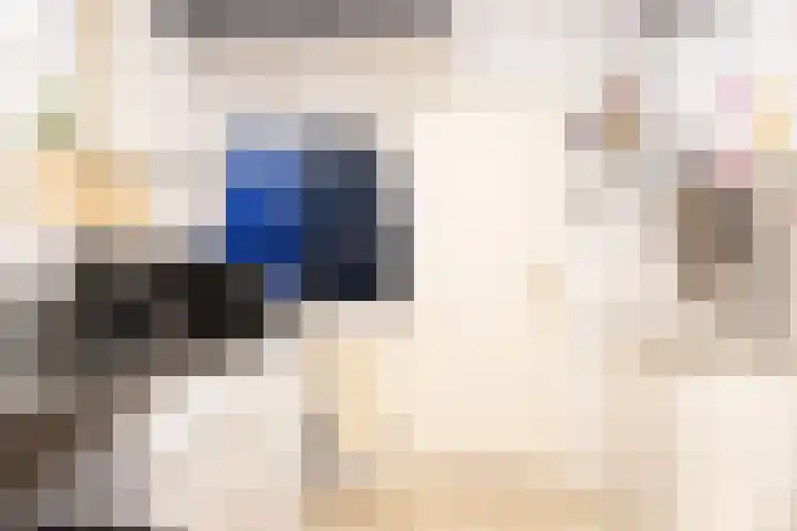 Oosterkruisweg 65 Den Oever thumbnail 11