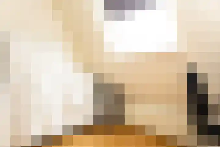 Oosterkruisweg 65 Den Oever thumbnail 25