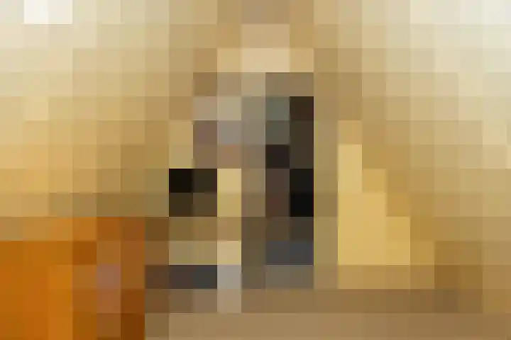 Oosterkruisweg 65 Den Oever thumbnail 27