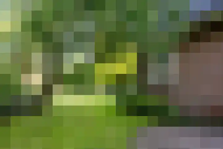 Oosterkruisweg 65 Den Oever thumbnail 28