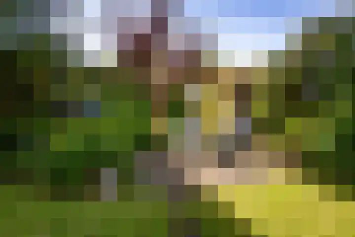Oosterkruisweg 65 Den Oever thumbnail 29