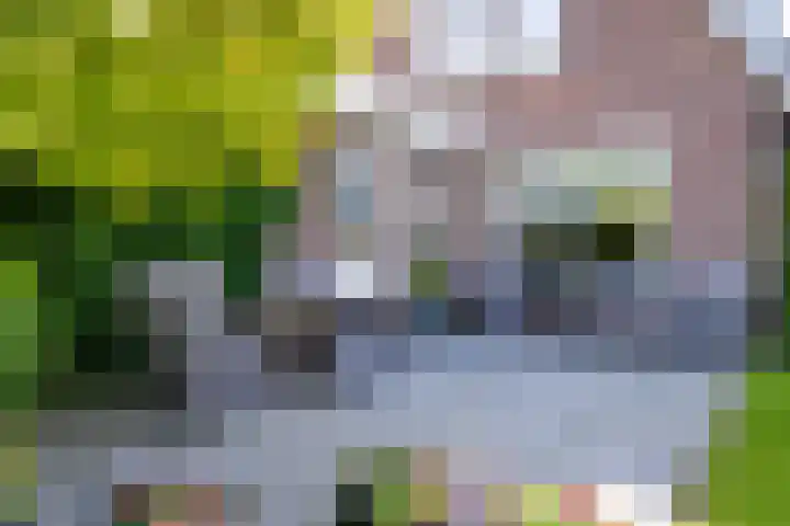 Oosterkruisweg 65 Den Oever thumbnail 30