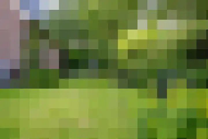 Oosterkruisweg 65 Den Oever thumbnail 31