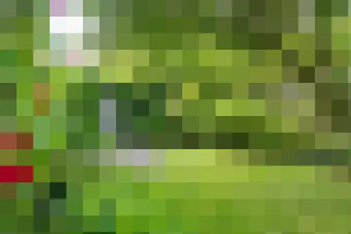 Oosterkruisweg 65 Den Oever thumbnail 32
