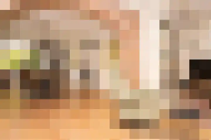 Oosterkruisweg 65 Den Oever thumbnail 5