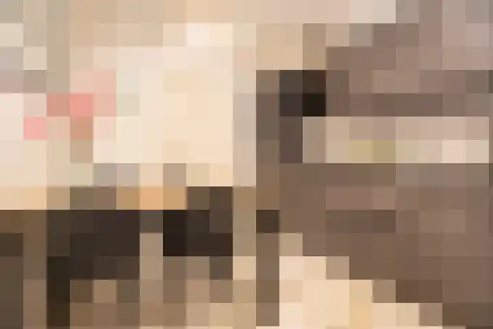 Oosterkruisweg 65 Den Oever thumbnail 6