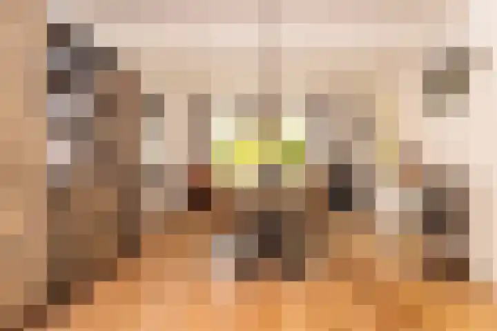 Oosterkruisweg 65 Den Oever thumbnail 8
