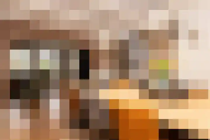 Oosterkruisweg 65 Den Oever thumbnail 9