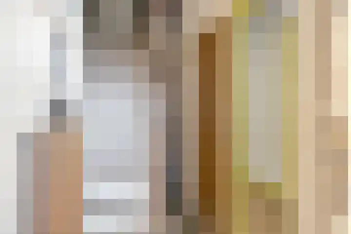 Oosterlaan 11 Zwolle thumbnail 15