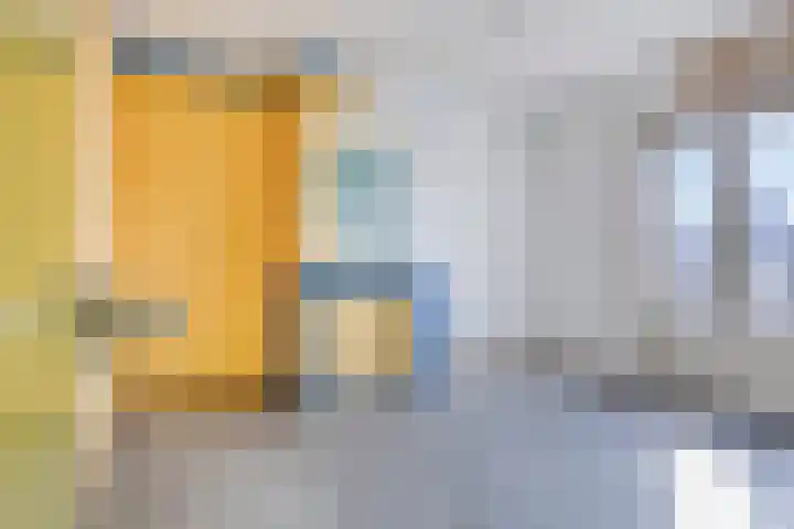 Oosterlaan 11 Zwolle thumbnail 29