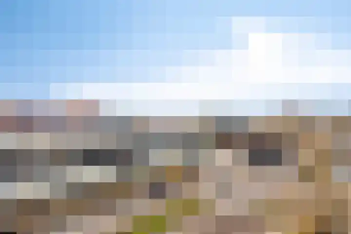 Oosterlaan 11 Zwolle thumbnail 32