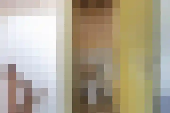 Oosterlaan 11 Zwolle thumbnail 39