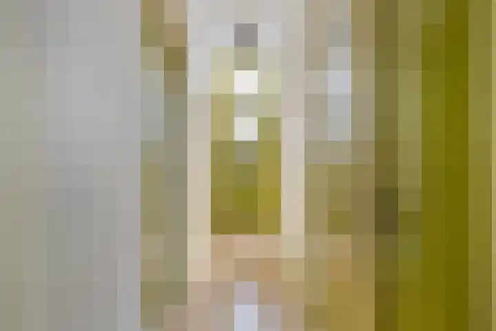 Oosterlaan 11 Zwolle thumbnail 4