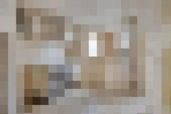 Oosterlaan 11 Zwolle thumbnail 46