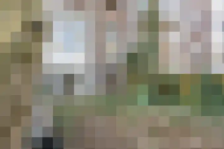 Oosterlaan 11 Zwolle thumbnail 52