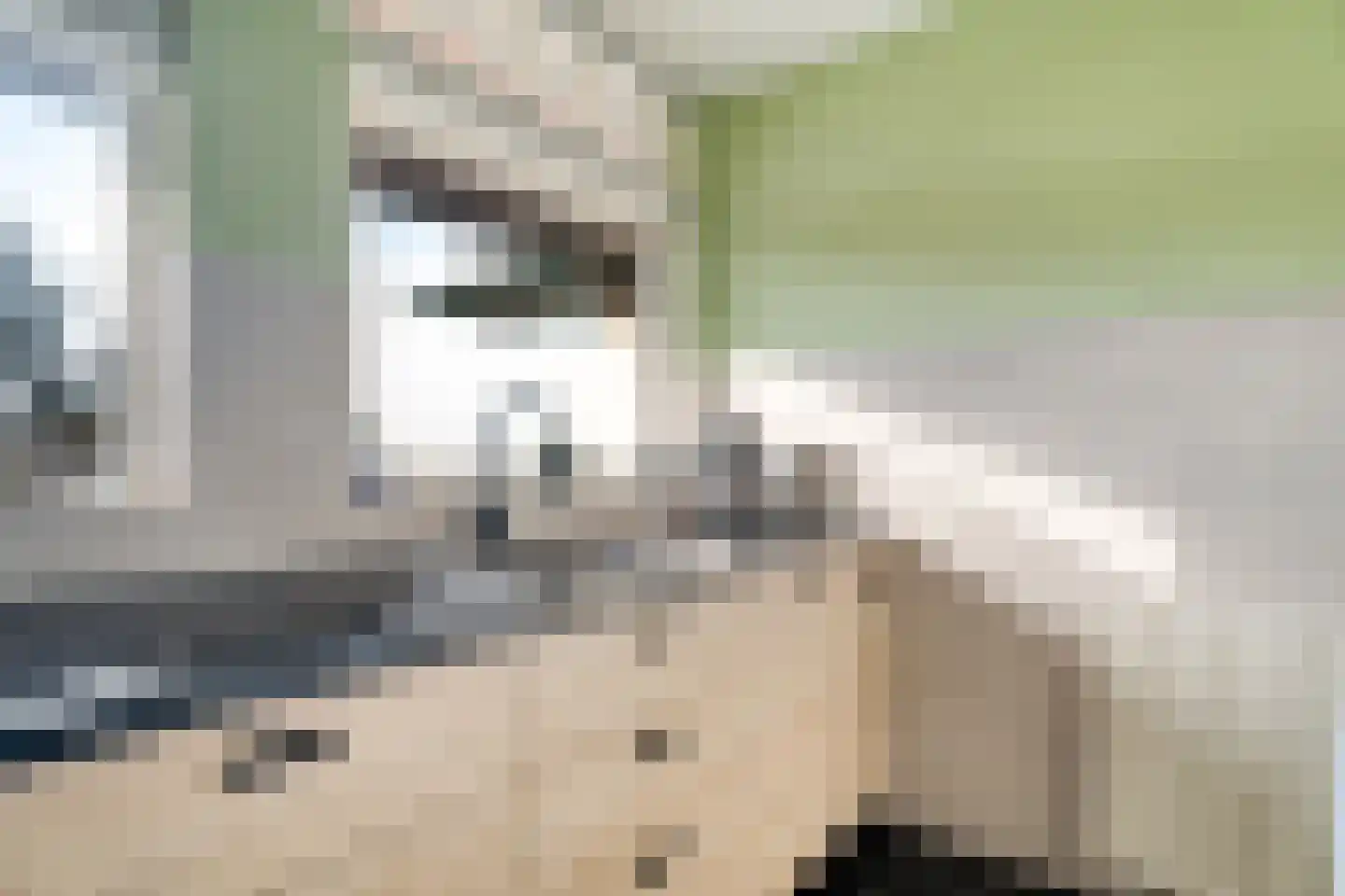 Oosterlaan 117 Nunspeet thumbnail 16