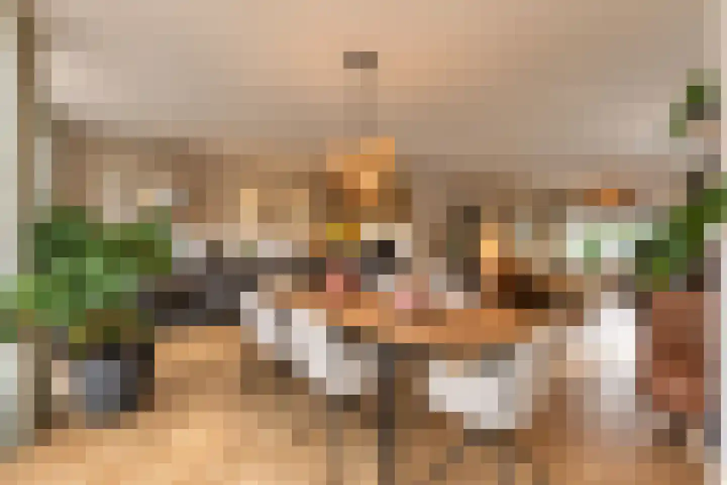 Oosterlaan 12 Driebergen-Rijsenburg thumbnail 13