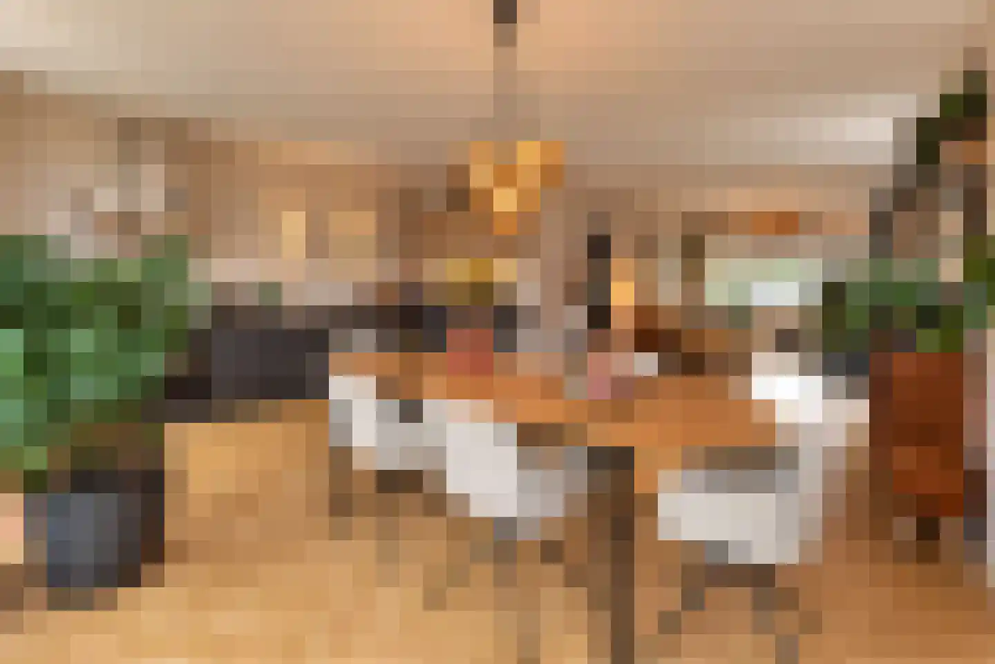 Oosterlaan 12 Driebergen-Rijsenburg thumbnail 17
