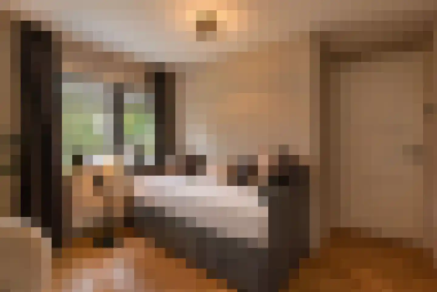 Oosterlaan 12 Driebergen-Rijsenburg thumbnail 25