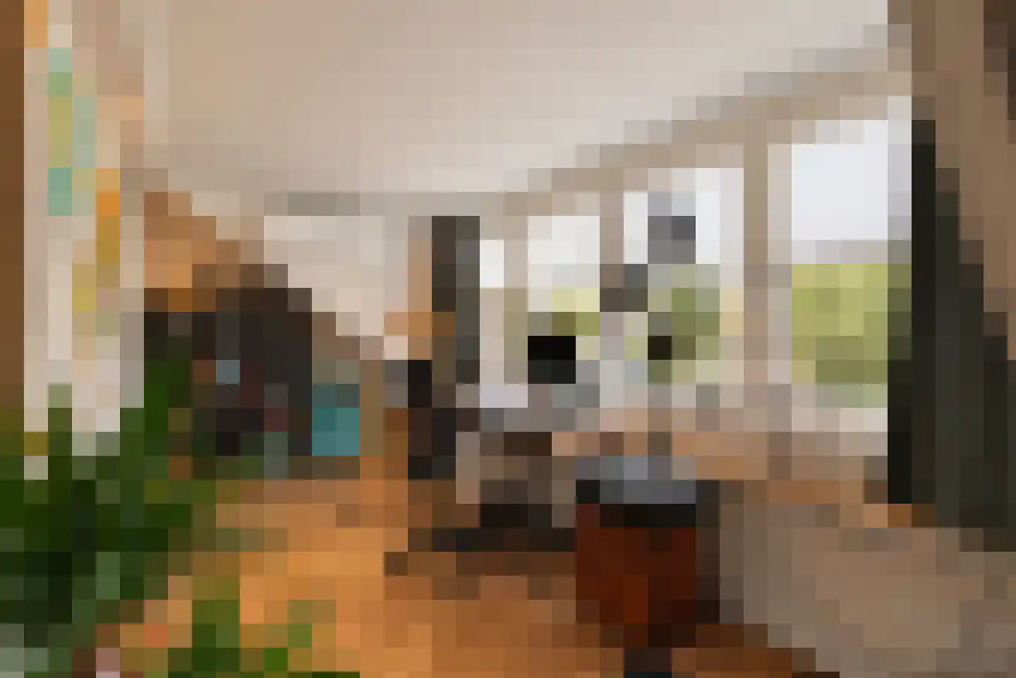 Oosterlaan 12 Driebergen-Rijsenburg thumbnail 33