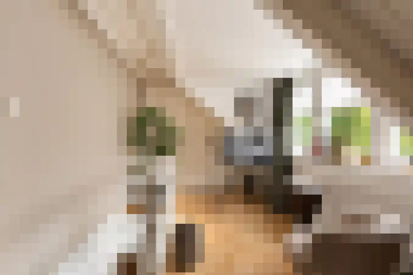 Oosterlaan 12 Driebergen-Rijsenburg thumbnail 34